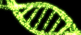 Parkinson's Disease And Stem Cell Treatment: What You Should Know